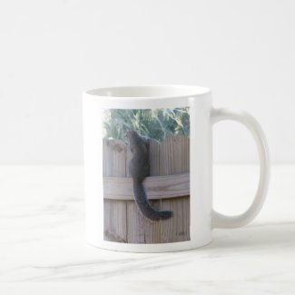 Squirrel on fence coffee mug
