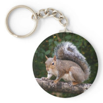 Squirrel On Limb keychains