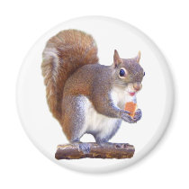 Squirrel on Log Magnets