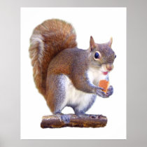 Squirrel on Log Posters