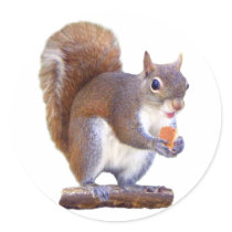 Squirrel on Log Round Sticker