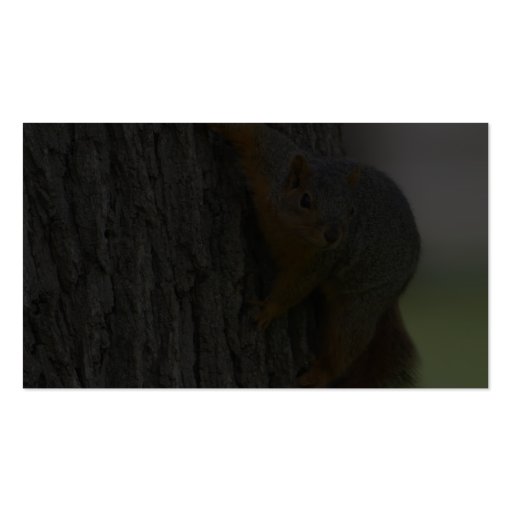 Squirrel On Tree Business Card Templates (back side)