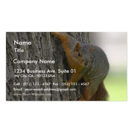 Squirrel On Tree Business Card Templates (front side)