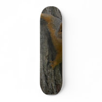 Squirrel On Tree skateboards