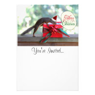Squirrel Opening Christmas Present Announcements