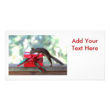 Squirrel Opening Christmas Present Photo Card Template