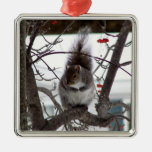 Squirrel Ornament ornaments