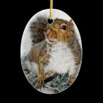 Squirrel Ornament ornaments
