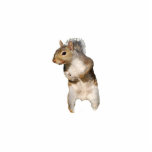 Squirrel Ornament photo sculptures