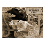 Squirrel Outlaws In The Old West Post Cards
