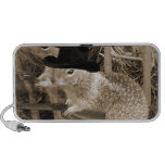 Squirrel Outlaws In The Old West Travelling Speaker