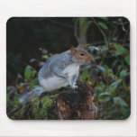 Squirrel Pad mousepads