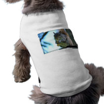 Squirrel Pet Shirt