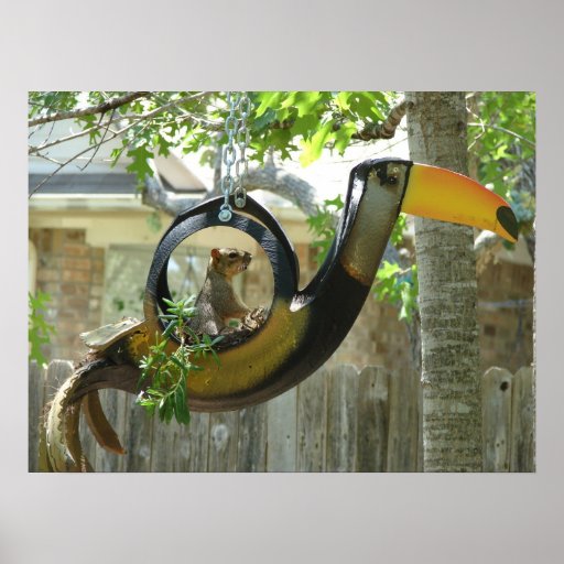 Squirrel Pilot Photo Poster Zazzle