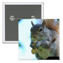 Squirrel Pin