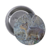 Squirrel buttons