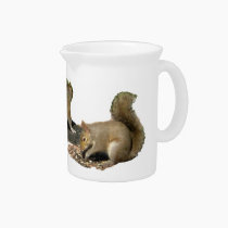 Squirrel Pitcher pitchers