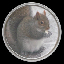 Squirrel Plate plates