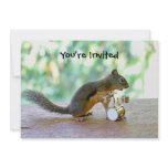 Squirrel Playing Drums Custom Announcement