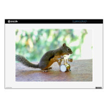 Squirrel Playing Drums Decals For 15" Laptops