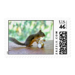 Squirrel Playing Drums Stamps