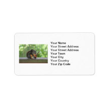 Squirrel Playing Electric Guitar Custom Address Label