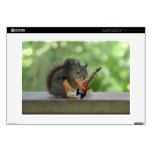 Squirrel Playing Electric Guitar Laptop Decals