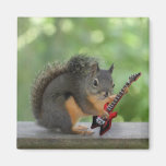 Squirrel Playing Electric Guitar Refrigerator Magnets