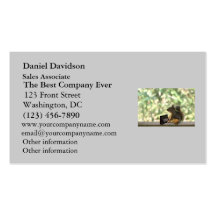 Squirrel Playing Piano Business Card Template