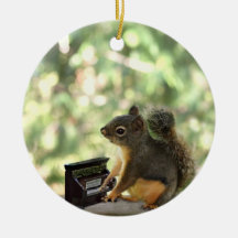 Squirrel Playing Piano Christmas Tree Ornaments