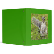 Squirrel Portrait Binder binders