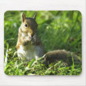 Squirrel Portrait mousepads