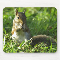 Squirrel Portrait mousepads by bpmcwill Squirrel Portrait mousepads