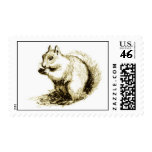 Squirrel Stamps