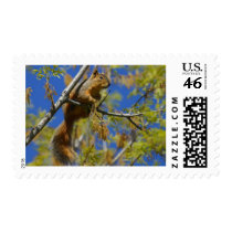 Squirrel Postage Stamp