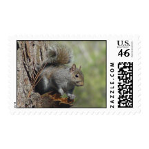 Squirrel Postage 2