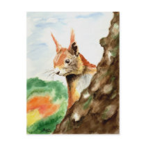 Squirrel Postcards