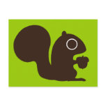 Squirrel Post Card