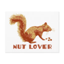 Squirrel postcards