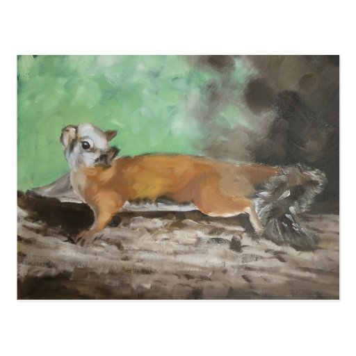 Squirrel- Postcard