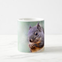 Squirrel Praying for Peanuts Coffee Mugs