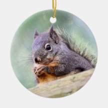Squirrel Praying for Peanuts Christmas Tree Ornaments