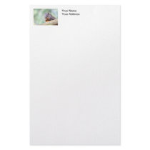 Squirrel Praying for Peanuts Stationery Design