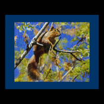 Squirrel Prints and Posters