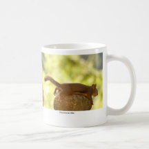 Squirrel Relaxing Mugs