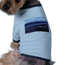 Squirrel River Baird Mountains Dog Clothes