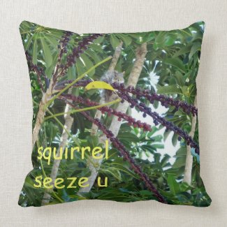 Squirrel Seeze U American MoJo Pillow throwpillow