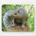 Squirrel Sitting On a Post Mouse Pad mousepads