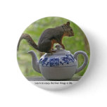 Squirrel Sitting on a Teapot Pins