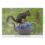 Squirrel Sitting on a Teapot Cards